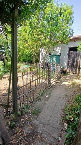 Cadre résolument champêtre en plein cœur de Colomiers!!!