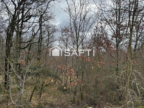 Terrain de 4860m2 au calme.