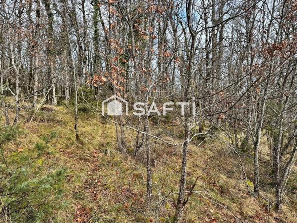 Terrain de 4860m2 au calme.