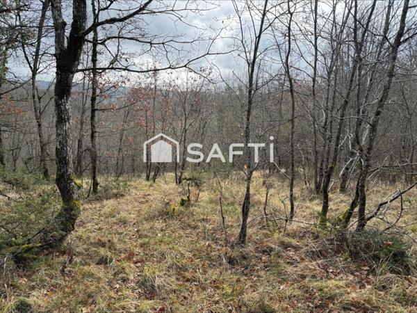 Terrain de 4860m2 au calme.