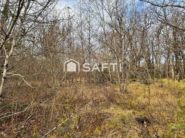 Terrain de 4860m2 au calme.