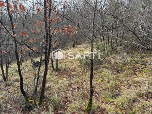 Terrain de 4860m2 au calme.