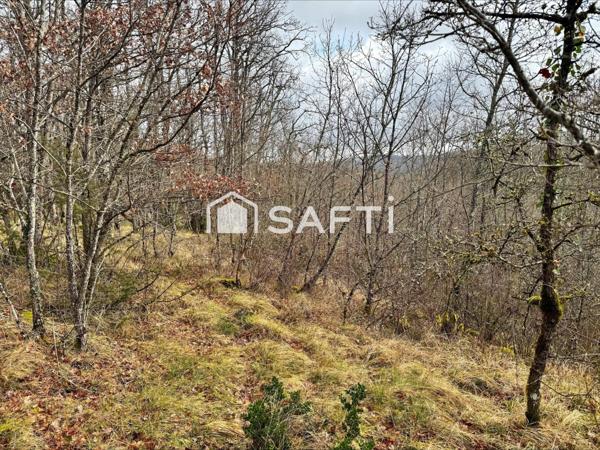 Terrain de 4860m2 au calme.