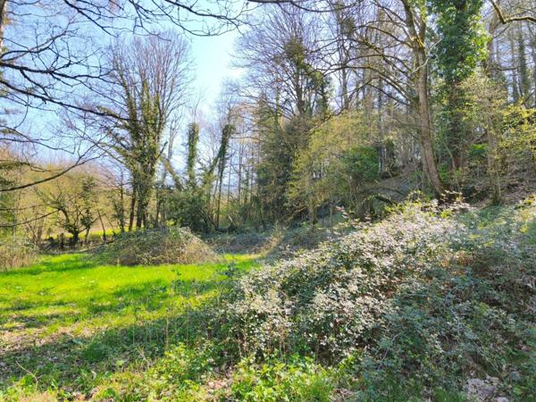 Maison à vendre 5 pièces MOISSEY (39)