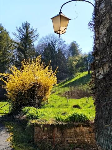 Maison à vendre 5 pièces MOISSEY (39)