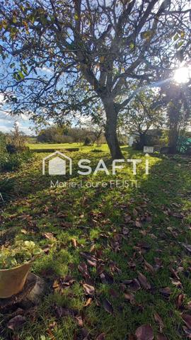 Jolie maison avec ces  3 chambres, un sous-sol, des dépendances,  un terrain de 3 873 m².