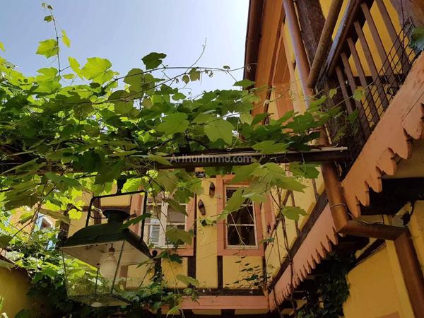 Vente Maison 11 pièces 243 m2 à Colmar