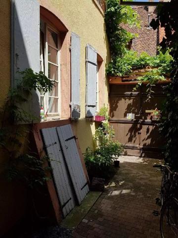 Vente Maison 11 pièces 243 m2 à Colmar