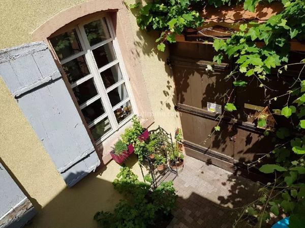 Vente Maison 11 pièces 243 m2 à Colmar