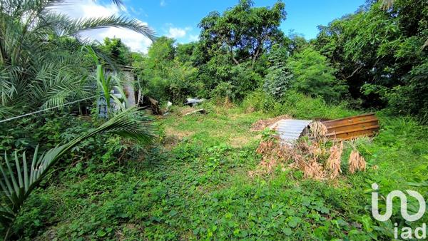 Terrain à vendre 1 600 m² Saint-Louis