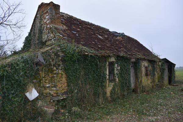 Maison de 78m² avec grand terrain de 5000m²