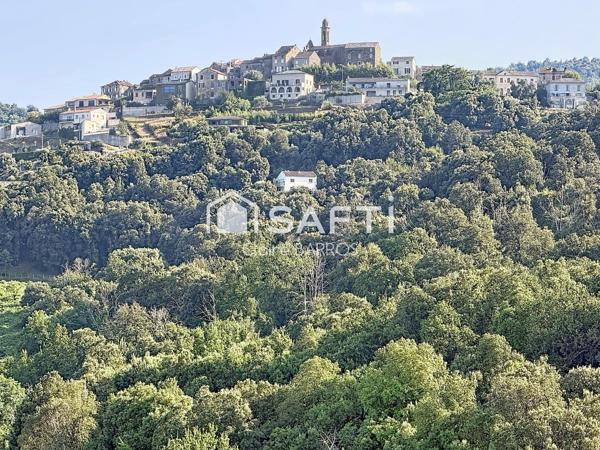 Maison de village + cave – Venzolasca