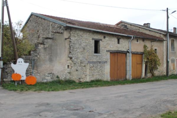 maison de village avec jardin , garage et dependances