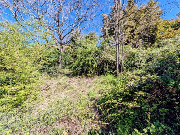 Vente / Maison de plain-pied