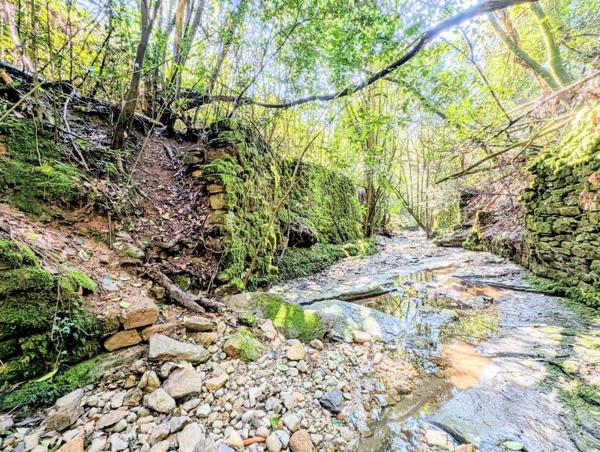 Vente / Maison de plain-pied