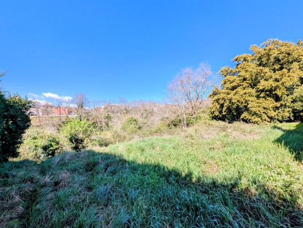 Vente / Maison de plain-pied