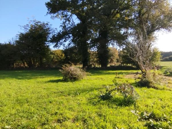 Longère rénovée à vendre 4 pièces (22)