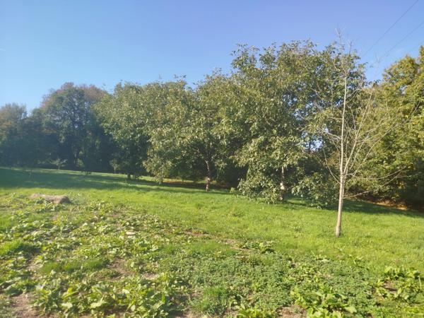 Longère rénovée à vendre 4 pièces (22)