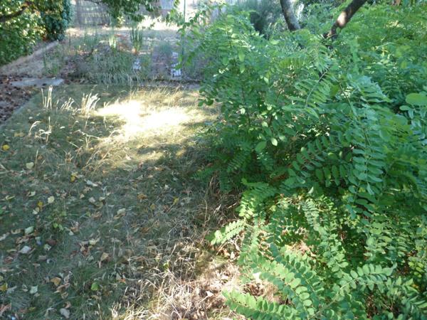 Vente Maison 5 pièces 104 m2 à Vierzon