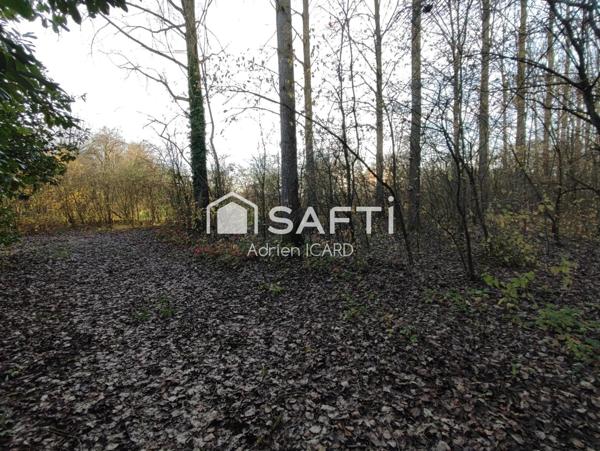 Terrain de Loisirs 7200 m² et 150 peupliers