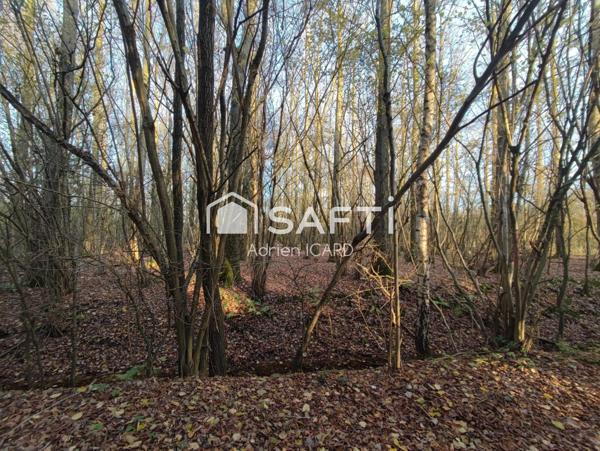 Terrain de Loisirs 7200 m² et 150 peupliers