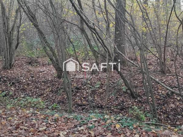 Terrain de Loisirs 7200 m² et 150 peupliers