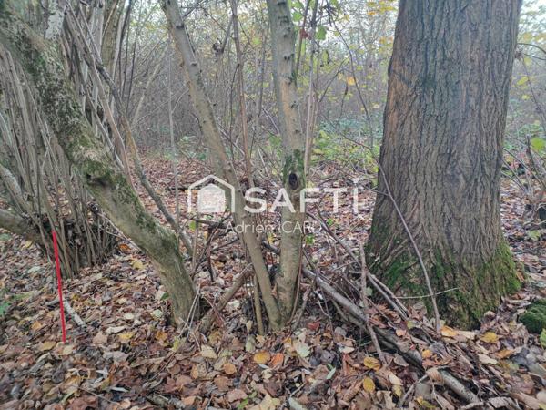 Terrain de Loisirs 7200 m² et 150 peupliers