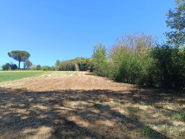 Terrain à vendre |  Canals |  1891 m²