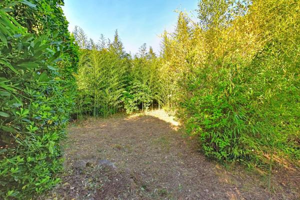 Maison de Maître début XIXème,10 pièces, jardin, garage