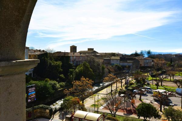 Maison de Maître début XIXème,10 pièces, jardin, garage