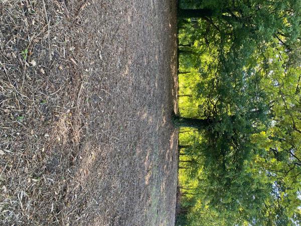 Terrain constructible à Clérey