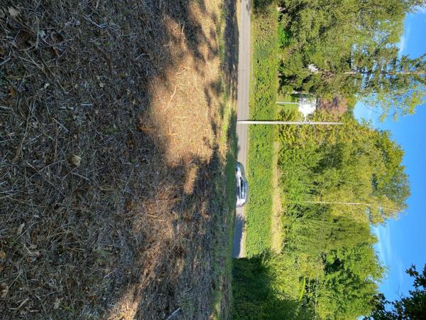 Terrain constructible à Clérey