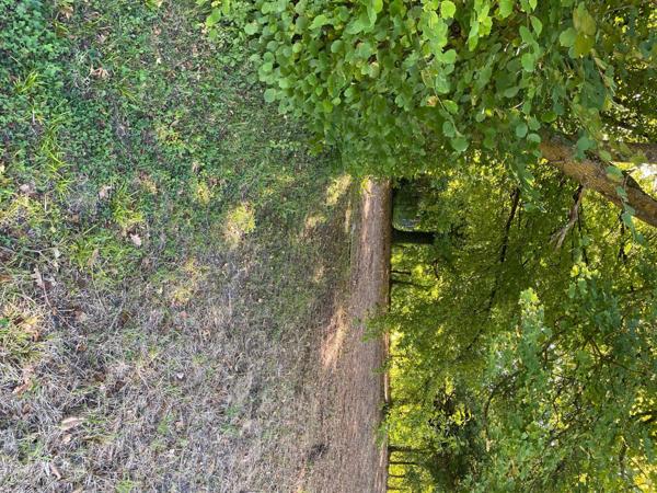 Terrain constructible à Clérey