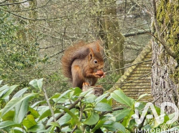 Maison à vendre 5 pièces 120 m² Saint-Herblain