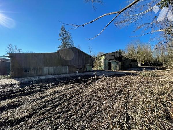 Une longère d'environ 500m² à rénover située à COURTOMER avec des dépendances et 1,9 ha de terre