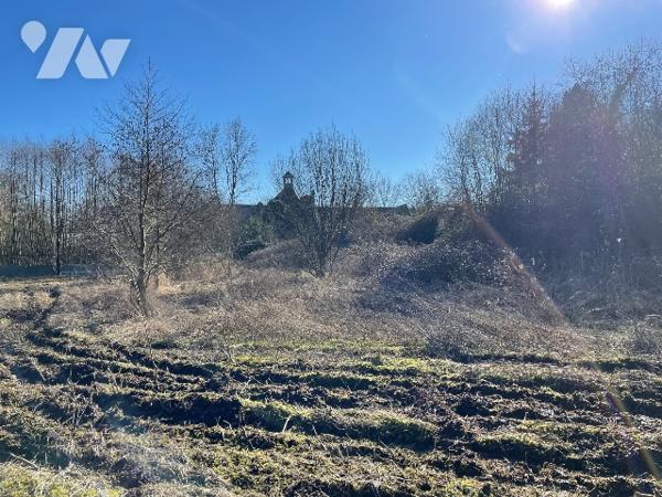 Une longère d'environ 500m² à rénover située à COURTOMER avec des dépendances et 1,9 ha de terre