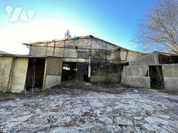 Une longère d'environ 500m² à rénover située à COURTOMER avec des dépendances et 1,9 ha de terre