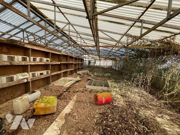 Une longère d'environ 500m² à rénover située à COURTOMER avec des dépendances et 1,9 ha de terre