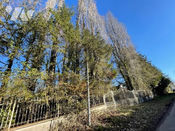 Une longère d'environ 500m² à rénover située à COURTOMER avec des dépendances et 1,9 ha de terre