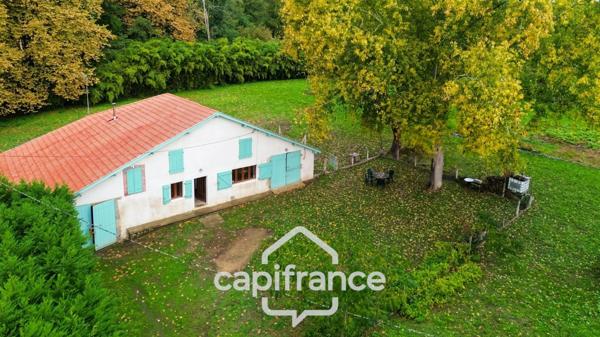 Maison landaise rénovée – 92 m² – Terrain de 5 823 m² – Calme absolu à Saugnac-et-Cambran, à 10 min de Dax