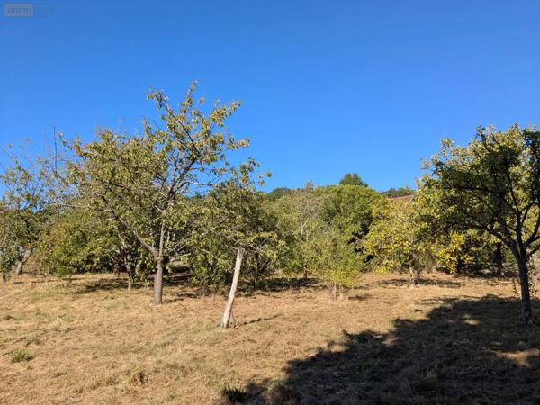 Achat - Maison | Maison rurale Bretoncelles 61110 7 pièces 204 m 2 3050 m 2