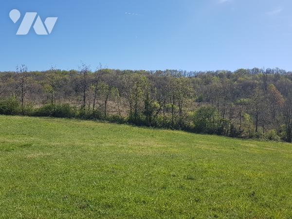 8 kms d'AURIGNAC 55 hectares de terres et bois  dont 4 hectares en fermage : prix 275.000 € C.C.