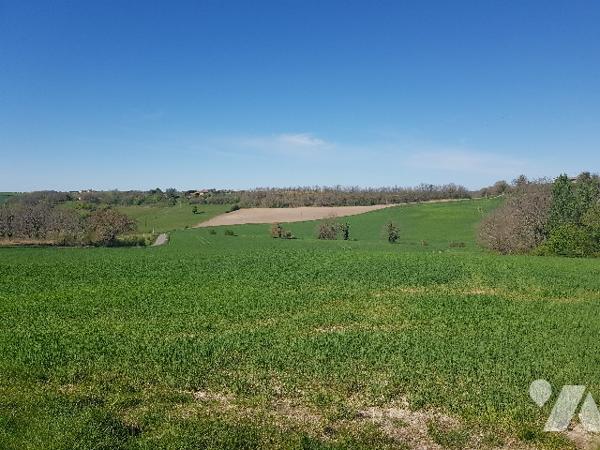 8 kms d'AURIGNAC 55 hectares de terres et bois  dont 4 hectares en fermage : prix 275.000 € C.C.