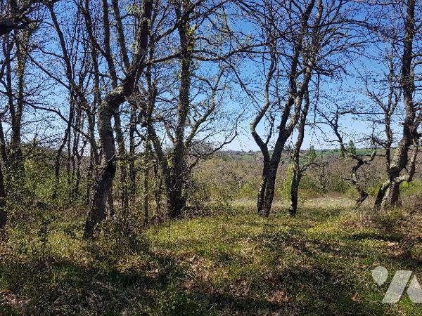 8 kms d'AURIGNAC 55 hectares de terres et bois  dont 4 hectares en fermage : prix 275.000 € C.C.