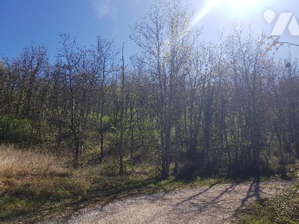 8 kms d'AURIGNAC 55 hectares de terres et bois  dont 4 hectares en fermage : prix 275.000 € C.C.