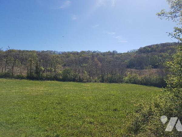 8 kms d'AURIGNAC 55 hectares de terres et bois  dont 4 hectares en fermage : prix 275.000 € C.C.