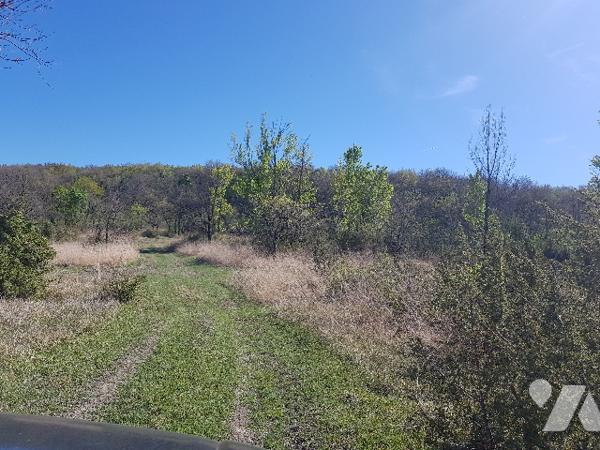 8 kms d'AURIGNAC 55 hectares de terres et bois  dont 4 hectares en fermage : prix 275.000 € C.C.