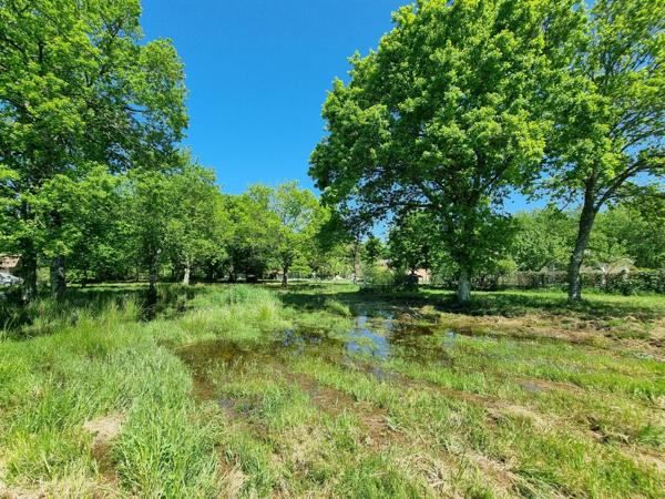 Terrain - Seconde ligne - Au calme