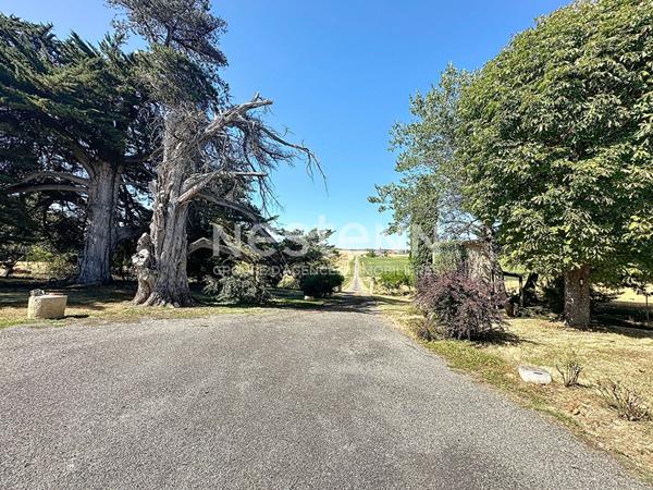 A vendre Maison Nougaroulet 6 pièces 185 m2 sans voisinage 10875m2 de terrain au calme.