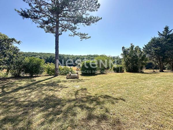 A vendre Maison Nougaroulet 6 pièces 185 m2 sans voisinage 10875m2 de terrain au calme.